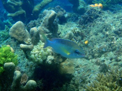 g1/93/329493/3/112372677.pX0MCVmx.jpg