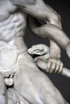 Detail of Laocoön and the head of the serpent