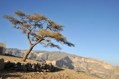 g1/93/329493/3/115764500.SoAs7An3.jpg