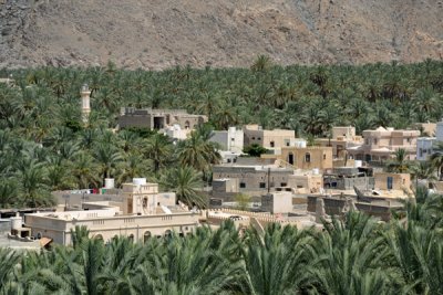 Village in the oasis around Nakhl Fort