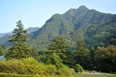 Tree covered mountains of the Myohyangan Nature Reserve