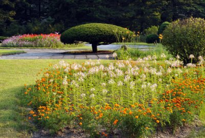 Manicured garden of Pohyon Temple, Myohyangsan Nature Reserve