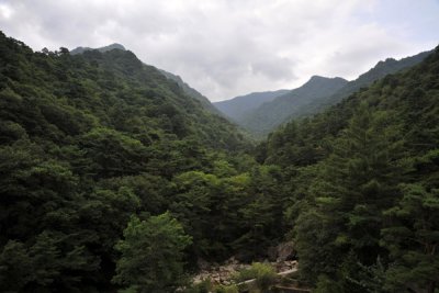 View of the green mountains of Myohyangsan Nature Reserve