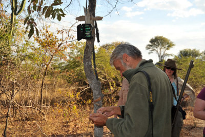 Chris McBride changing the battery and memory card of a trail camera he set up
