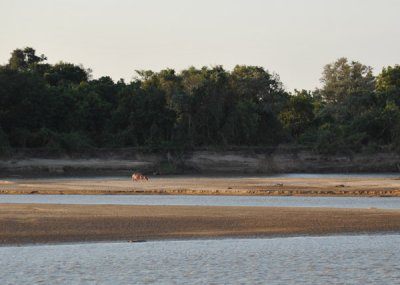 g1/93/329493/3/125585443.tHFTSAjE.jpg