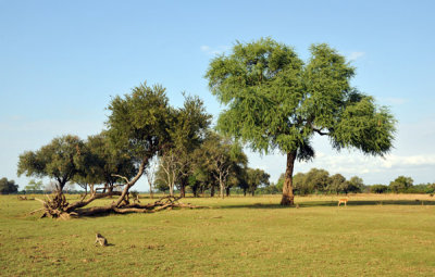 g1/93/329493/3/125609123.oZgA14xK.jpg