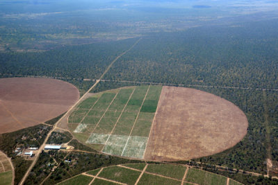 Irrigated fields along the M10 between Kasane/Caprivi and Livingstone (S17 47.0/ E25 34.5)