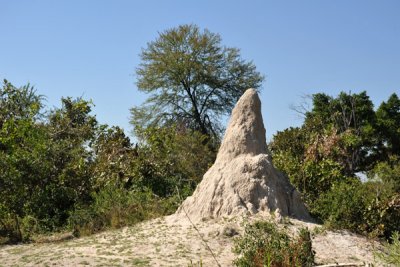 g1/93/329493/3/125767445.4iWZyvYd.jpg