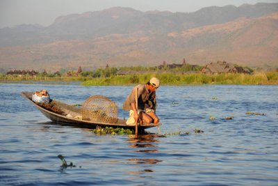 Inle Lake fisherman on his knees peering into the water