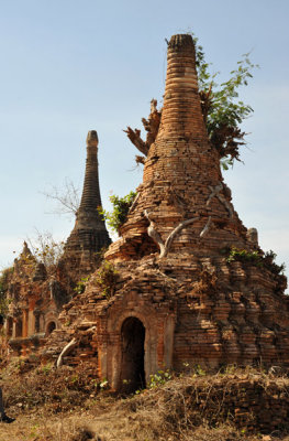 Stupa embedded with roots of a tree