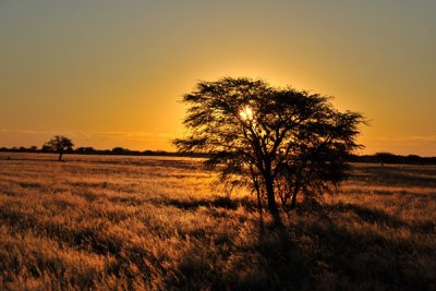 Sunset, Eureka Farm, Namibia