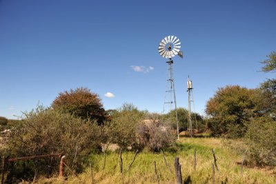 Eureka Farm