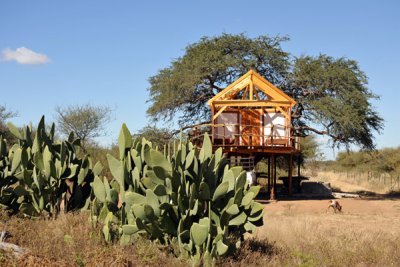 Tree house under construction on the neighbors farm