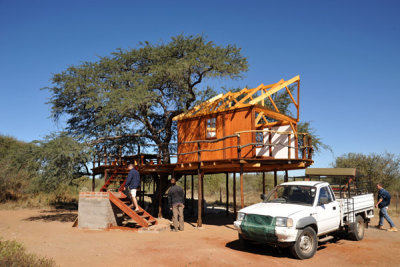 Tree house under construction on the neighbors farm