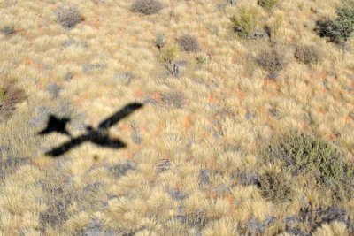 Ultralight flying low of Olifantwater