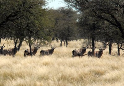 g1/93/329493/3/125829700.kE0dHGU3.jpg