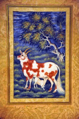 Cow and calf from Mughal album attributed to Basawan or Desavanta ca 1570