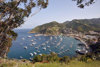 Catalina Island