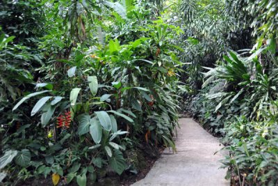 Walking path, Singapore Botanical Gardens