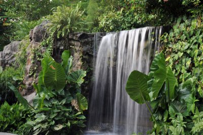 Waterfall, Singapore Botanical Gardens