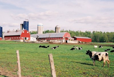 Central Vermont farmland