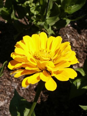 g1/93/329493/3/126105784.FotOh2qx.jpg