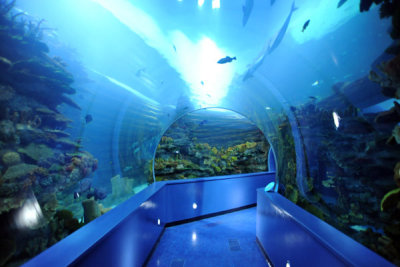 Tunnel - Sharjah Aquarium