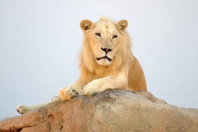 Al Ain Wildlife Park & Resort