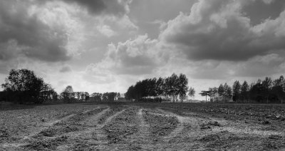 _DS71816w.jpg