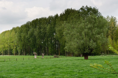 _DS71812w.jpg