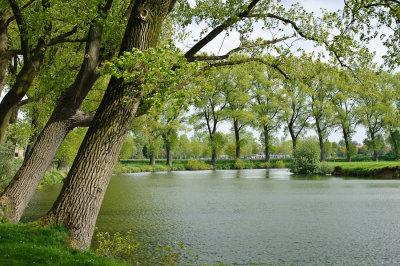 _DS71878w.jpg