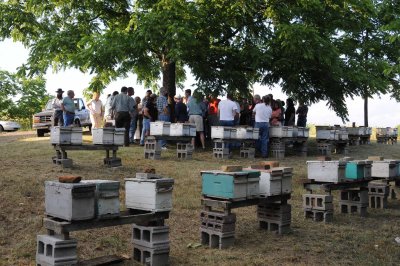 Tri-County Beekeepers Meeting at Keeney Apiaries