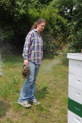 Sarah checking a hive