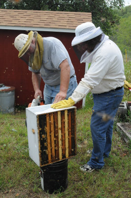 Blowing the bees from the honey super