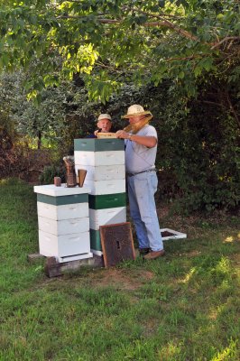 L.V.B.A. Honey Harvest 2010