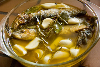 sauteed sardines preserved in oil
