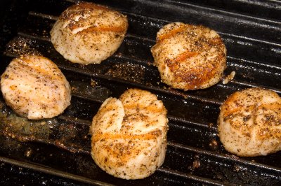 grilled scallops