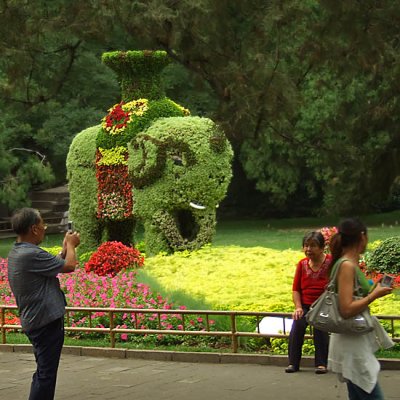 Summer Palace