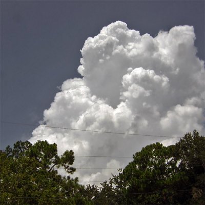 g1/93/44993/3/115866112.eRXg5OzG.jpg