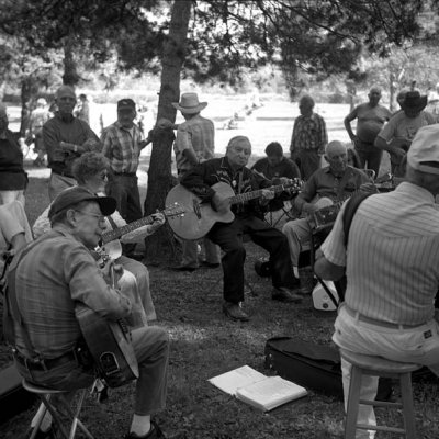 Music under the Trees
