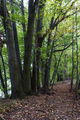 Riverside Trail