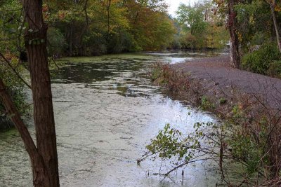 Wetland Trail