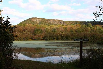 Waterfowl Pond