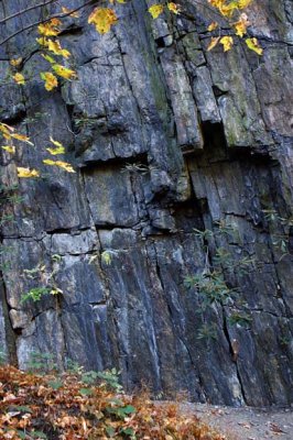 Vertical Strata