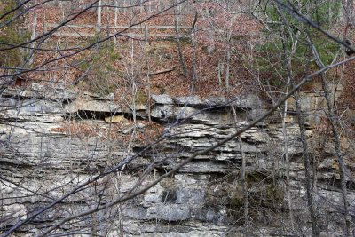 Limestone Strata