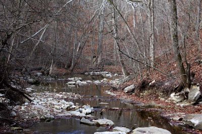 McCormick's Creek