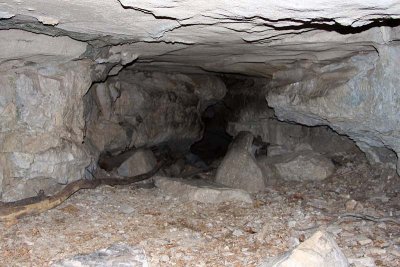 Looking in Wolf Cave
