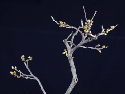 02 March 2009