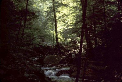 Ricketts Glen