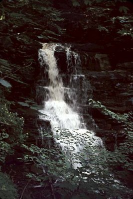 Tuscarora Falls